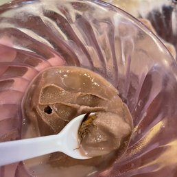 My sister found a cockroach in her icecream My sister found a cockroach in her icecream