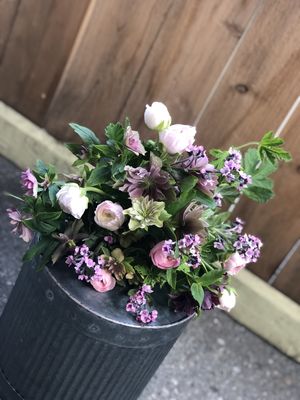 Wildflower & Fern by null