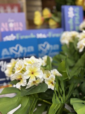 DON QUIJOTE - Updated July 2025 - 5608 Photos & 1176 Reviews - 801