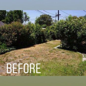 Olmos Landscape - Landscaping Near Me - Sylmar, California