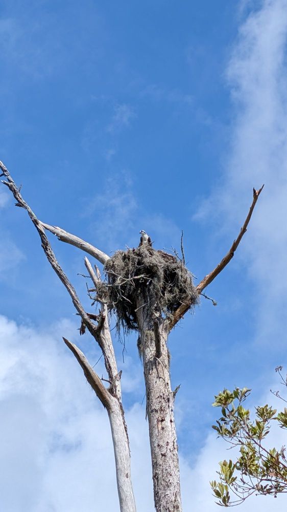 Cradle Creek Preserve Image