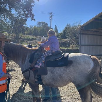 Zittel Farms - Horse rides - Farms Near Me - Folsom, California Zittel Farms - Horse rides - Farms Near Me - Folsom, California