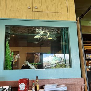Kona Brewing - Aquarium - Brewpubs Near Me - Honolulu, Hawaii