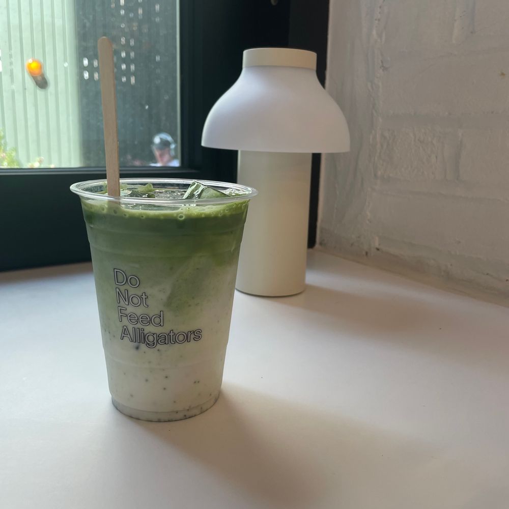 Do Not Feed Alligators - Matcha Latte - Bookstores Near Me - New York, New York