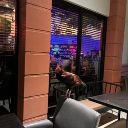 Cafe Mi Vitrola - Rooster outside lol
