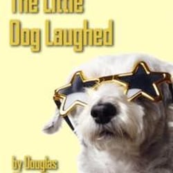 Silver Spring Stage - The Little Dog Laughed