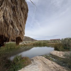 Rogers Hot Springs