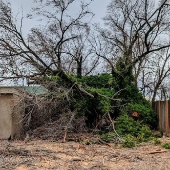 Terry's Tree Service - Tree Services Near Me