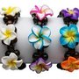Photo of D K Hawaiian Collection
