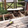 True Standard Renovations