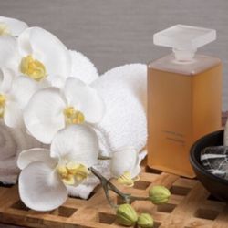 Damara Day Spa