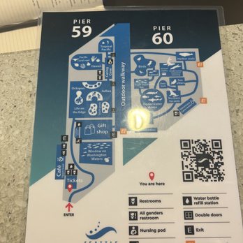 Seattle Aquarium - Map - Aquariums Near Me - Seattle, Washington