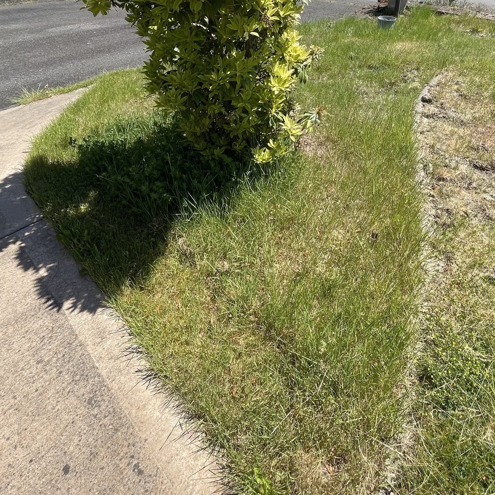 River Rock Landscaping Services - Landscaping Near Me River Rock Landscaping Services - Landscaping Near Me