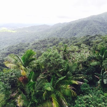 Yokahu Tower - Welcome to the jungle! - Landmarks & Historical Buildings Near Me - Río Grande, Puerto Rico Yokahu Tower - Welcome to the jungle! - Landmarks & Historical Buildings Near Me - Río Grande, Puerto Rico