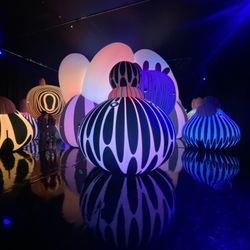 Balloon Museum