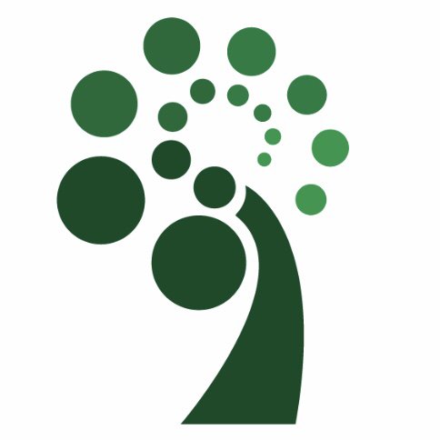 CMK Tree - tree service in Savannah, GA