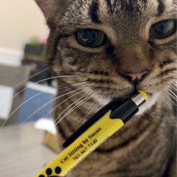 Cat Sitting by Susan - Cute swag, kitty approved. - Pet Sitting Near Me - Falls Church, Virginia Cat Sitting by Susan - Cute swag, kitty approved. - Pet Sitting Near Me - Falls Church, Virginia