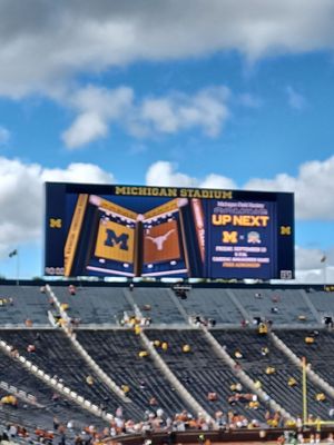 Michigan Stadium by null