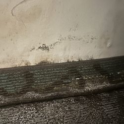 Super 8 by Wyndham Dodgeville - The moldy wall and carpet.