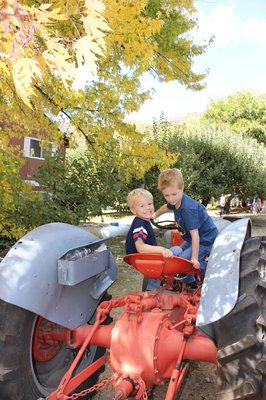 Willowbrook Apple Farm by null