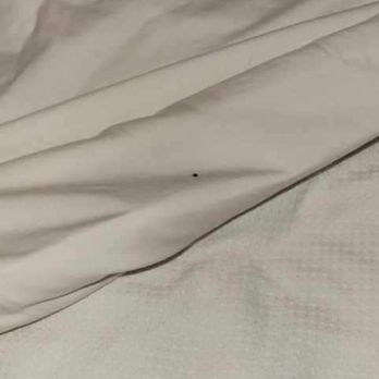 Hyatt Place Sumter / Downtown - Bed Bug - Hotels Near Me - Sumter, South Carolina Hyatt Place Sumter / Downtown - Bed Bug - Hotels Near Me - Sumter, South Carolina