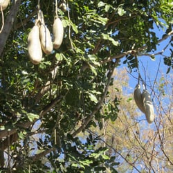 Parque Botanico