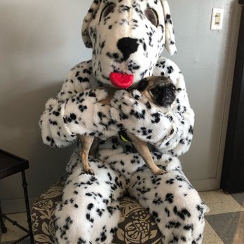 Bowties Pet Salon - Pet Groomers Near Me - Roscoe, Illinois Bowties Pet Salon - Pet Groomers Near Me - Roscoe, Illinois