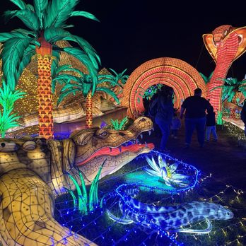 Glowfari - Zoos Near Me - Oakland, California Glowfari - Zoos Near Me - Oakland, California