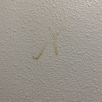 Motel 6 - Something gross on the wall next to the bed. - Hotels Near Me - West Memphis, Arkansas