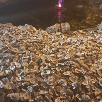 Mayflower Seafood Restaurant - Oyster shell lined pond in front of Mayflower - Seafood Near Me - Darlington, South Carolina Mayflower Seafood Restaurant - Oyster shell lined pond in front of Mayflower - Seafood Near Me - Darlington, South Carolina