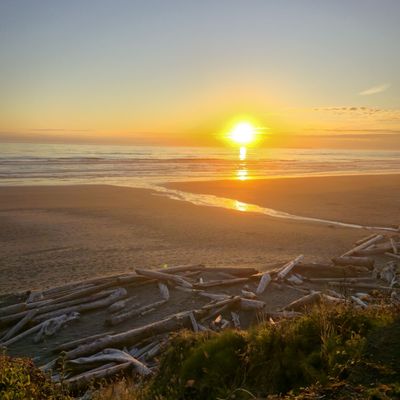 Kalaloch Campground by null
