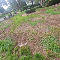 Fairway Lawns of Jacksonville