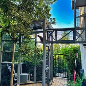 Catio Guy - Woodland Hills Catio - Pet Services Near Me Catio Guy - Woodland Hills Catio - Pet Services Near Me