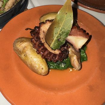 Petiscos - Octopus - Portuguese Near Me - San Jose, California