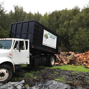 All Seasons Tree Care - Tree Services Near Me All Seasons Tree Care - Tree Services Near Me