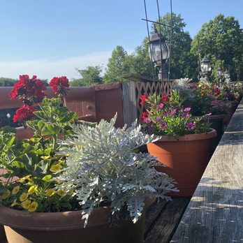 Breeze Bakery Cafe - Patio balcony - Bakeries Near Me - Annandale, Virginia Breeze Bakery Cafe - Patio balcony - Bakeries Near Me - Annandale, Virginia