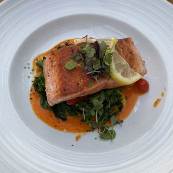 Barrique - Pink Ocean Trout - Wine Bars Near Me - Venice, California Barrique - Pink Ocean Trout - Wine Bars Near Me - Venice, California