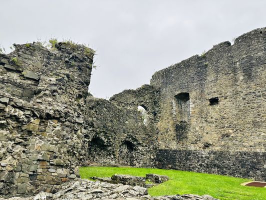 Carlingford Castle by null