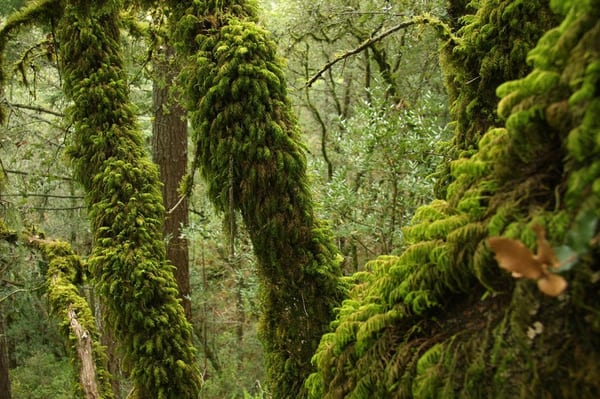 Matt Davis Trail Head by null