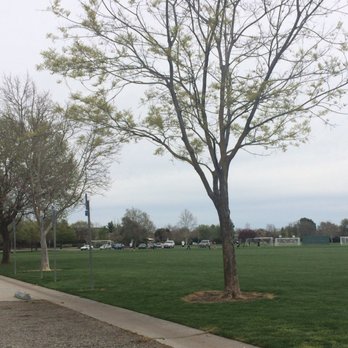 Nugget Fields - Spring is in the air - Soccer Near Me - Davis, California Nugget Fields - Spring is in the air - Soccer Near Me - Davis, California
