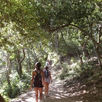 Alum Rock Park - Hiking Trail - Parks Near Me - San Jose, California