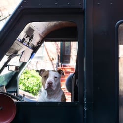 Photo of Mike & Son Sharpening Service - Brooklyn, NY, US.