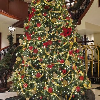 French Quarter Inn - Christmas tree in the hotel lobby - Hotels Near Me - Charleston, South Carolina French Quarter Inn - Christmas tree in the hotel lobby - Hotels Near Me - Charleston, South Carolina