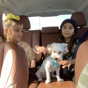 Nikki's Pet Spa - Pet Groomers Near Me - Norco, California Nikki's Pet Spa - Pet Groomers Near Me - Norco, California