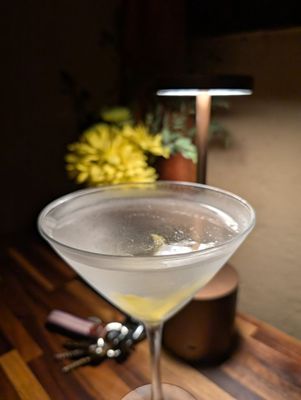 The Onion Tree by null