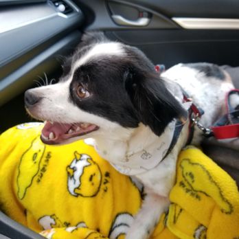 Paw Shoppe Pet Center - Pet Stores Near Me - Long Beach, California