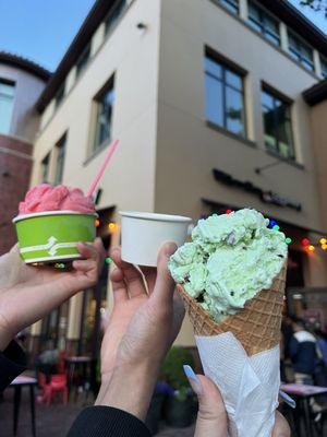 Willow Glen Creamery by null