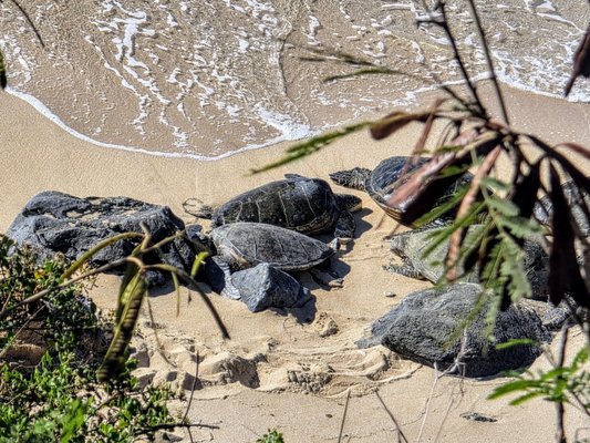 Ho'okipa Beach Park by null