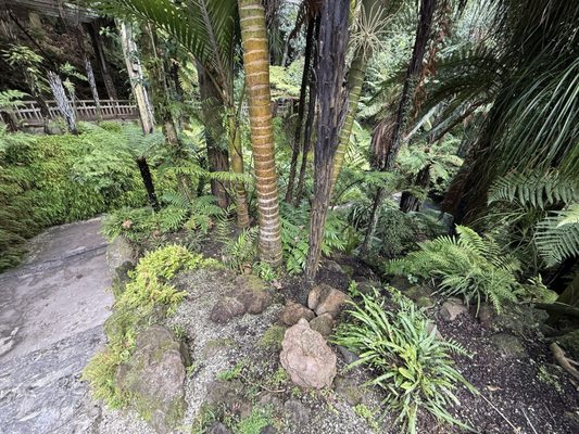 Auckland Domain by null