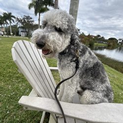 Barcelona Jupiter Apartments - This is my best friend Ganja!!